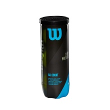 Wilson Tennisbälle Tour Premier Allcourt Dose 24x3er im Karton